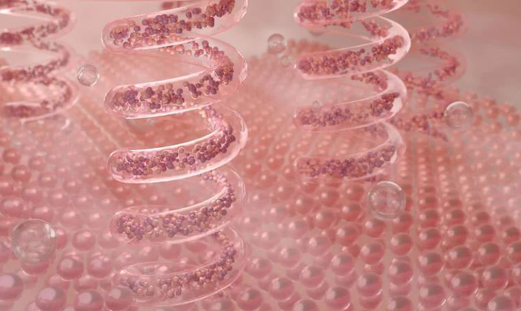 Collagen và Elastin